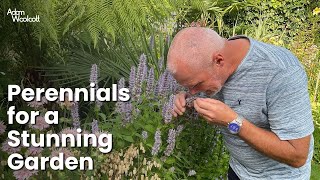 EasytoGrow Perennials for a Stunning Garden [upl. by Nylzaj]