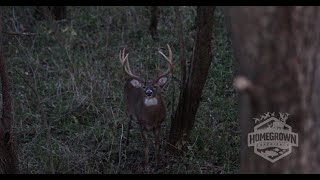 KENTUCKY MONSTER WHITETAIL BOW KILL by multi generation farmer and his high school hunting buddy [upl. by Ame]