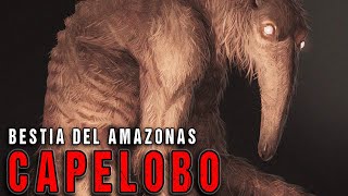 El Devorador de cerebros del Amazonas  Criptozoologia [upl. by Emyaj]