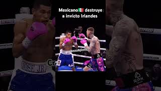 boxeo boxing viralvideo reels mexico boxer thoughts haha knockout mexicanstyle [upl. by Buine]