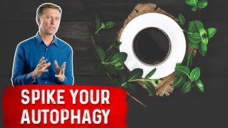 Enhance Autophagy with Coffee and Herbs [upl. by Eihctir106]