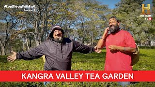 RoadTrippinwithRnM S2  Day 11  Vlog 03  Rocky Mayur  Tea garden  Kangra Valley [upl. by Claudine980]