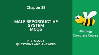 Male Reproductive System MCQ Questions Answers PDF  Reproductive System Notes Ch 25 Class 912 MCQs [upl. by Une]