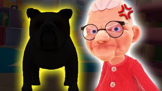 GRANDMA has a NEW DOG  New Update I Am Cat VR [upl. by Sawyer]