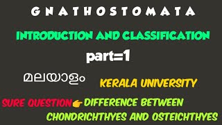 BSC ZOOLOGYMODULE2GNATHOSTOMATAPISCESINTRODUCTION AND CLASSIFICATIONPART1kerala university [upl. by Arch881]