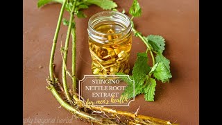 Stinging nettle root extract recipe [upl. by Adnirod139]