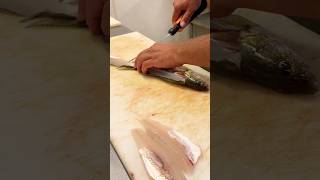 Nice filets fishing thecoloradoexperience devilslake walleye filet [upl. by Margery]