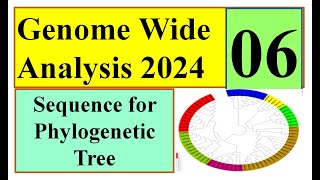 Sequence for Phylogenetic Tree part 01 Genome wide study 2024 Part 06 [upl. by Nirihs]