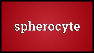 Spherocyte Meaning [upl. by Eniamaj639]