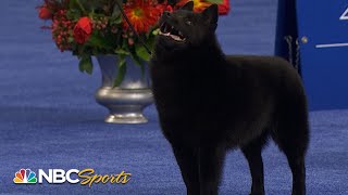 National Dog Show 2022 NonSporting Group Full Judging  NBC Sports [upl. by Schwing]