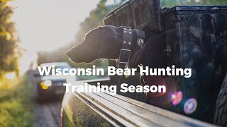 Wisconsin Bear Hunting With Hounds Training Season [upl. by Mighell]