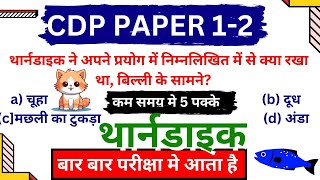 THORNDIKE CDP TOP MCQS PREVIOUS YEARS PAPER 12 CTETMPTETHTETSUPERTET JTET [upl. by Kraul863]