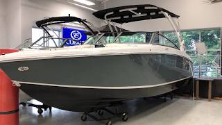 2019 Cobalt R5  Lodders Marine in Fairfield Ohio [upl. by Ellek]