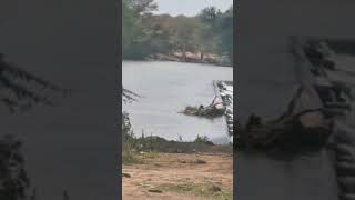 Limpopo River [upl. by Tripp]