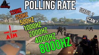 POLLING RATE 1252505001000200040008000HZ Test on CS2 Useful or not [upl. by Nerrad]