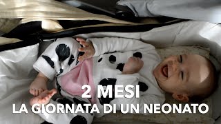 Cosa può fare un neonato a 2 mesi Come organizzare la sua giornata [upl. by Eelime]