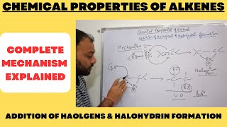 Addition of Halogens to Alkene amp Formation of Halohydrin from alkene II Complete mechanism explained [upl. by Riker928]