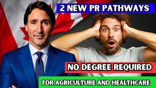 😳 Wow NEW Canada PR Options  Saskatchewan Launches 2 New Pathways In Agriculture amp Healthcare [upl. by Eimac]