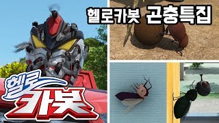 헬로카봇 ★ 곤충 특집 ★ Hello Carbot [upl. by Akilam962]