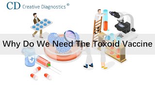 Why do we need the toxoid vaccine [upl. by Leidgam]