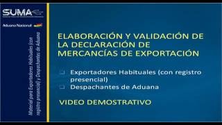 Elaboración y Validación de la Declaración de Mercancías de Exportación [upl. by Cardon]