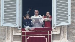 Popes peace doves attacked by crow and seagull [upl. by Soirtimid957]