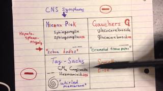 Lysosomal Storage Disease [upl. by Jerman]