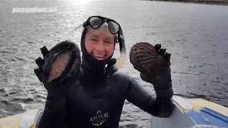 Catching and Cooking Wild Abalones in Tasmania Australia [upl. by Tinya]