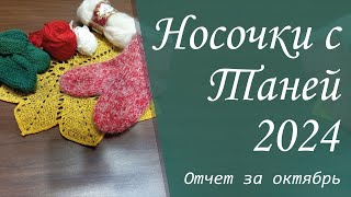 Совместный проект quotНосочки с Таней 2024quot  Отчёт за октябрь [upl. by Haimarej]