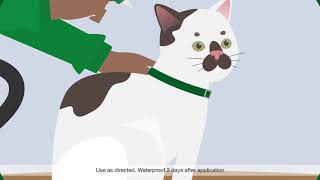 How does Advantage II work for cats [upl. by Sugna]