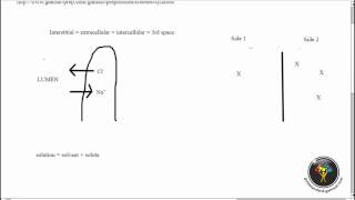 ACER GAMSAT Practice Questions Biology RedOrange Booklet Unit 3 Questions 9 to 11 [upl. by Hadihahs472]