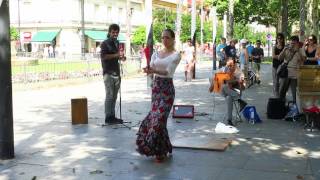 Flamenco Dance in Sevilla Spain [upl. by Yrallih]