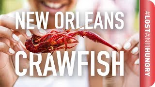 New Orleans  How Do You Eat Crawfish LostandHungry [upl. by Nodyarb213]