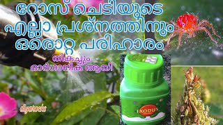 complete remedy for rose problemsfungicide pesticide  insecticide for roseExodus plant protector [upl. by Suivatram]