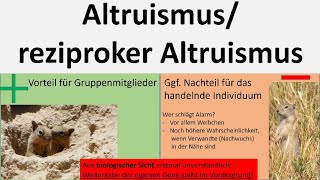 Altruismus altruistisches Verhalten reziproker Altruismus Biologie Oberstufe [upl. by Eibbob]