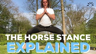 What Happens To Your Body When You Do The Horse Stance Every Day Shocking Results [upl. by Ecargyram467]