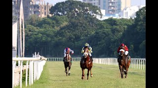 GLOBAL INFLUENCE wins The HPSL Calcutta Colts Trial Stakes [upl. by Wade]