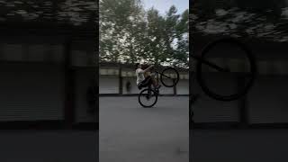 Bmx cruiser mafia booma 29 [upl. by Eneleahcim]