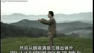 Chen Style Tai Chi  Silk Reeling Power  Chen Xiaowang  Part 01 [upl. by Rego]