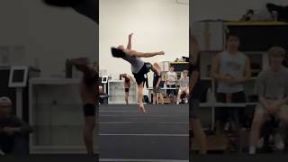 SLOW MOTION BACKFLIPS OFF 1 LEG Martial Arts Tricking Gainers Gymnast Training Circus Fit Xtreme [upl. by Hayott]