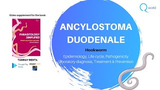 Hookworm Ancylostoma duodenale Parasitology Simplified tutorials for NEETPG NEXT USMLE PLAB [upl. by Arvonio]