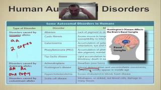 Chapter 14 Part 5  Human Autosomal Disorders [upl. by Marji]