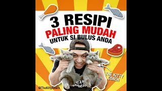 3 Resepi MAKANAN KUCING buat di rumah [upl. by Daukas]