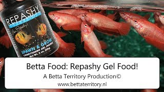 Betta Food Repashy Gel Food [upl. by Teragram662]