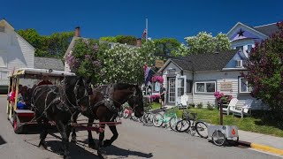 Over 250 types of lilac in bloom for Mackinac Islands 75th Lilac Festival [upl. by Etnasa523]