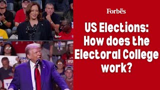 US elections How does the Electoral College work [upl. by Aniras]