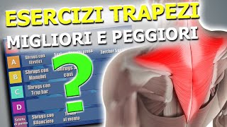 Migliori Esercizi TRAPEZIO e trapezio INFERIORE  Trapezi come Brian Shaw [upl. by Nedla]