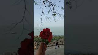 viralvideo flower rose reels boro station chandpur megna riverside 🥀🏞️🏝️🏖️ [upl. by Sprage]