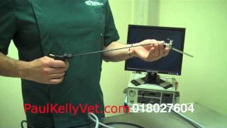 Laparoscopic Equipment ExplainedPaul Kelly Veterinary Surgeon [upl. by Gnoht]