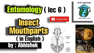 Insect mouthparts  Its modifications  Entomology lecture 6  English  Go For Agriculture [upl. by Allanson]